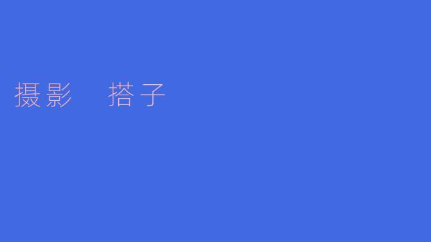 摄影 搭子